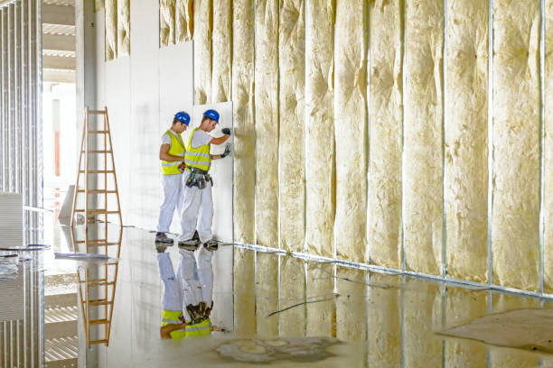 Best Geographic-Specific Insulation Services in Washington, NC